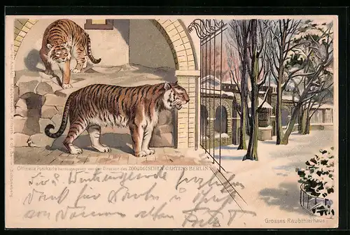 Lithographie Berlin, Zoologischer Garten, Tiger im Grossen Raubthierhaus