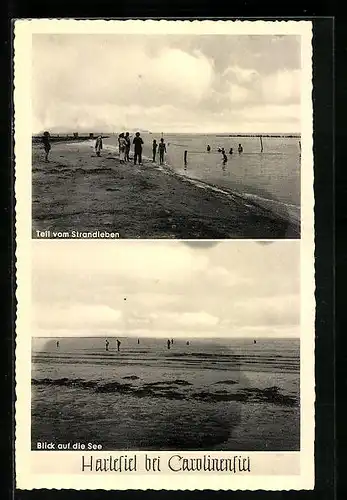 AK Harlesiel bei Carolinensiel, Teil vom Strandleben, Blick auf die See