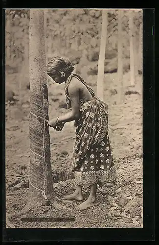 AK Sri Lanka, Tapping Rubber Trees, Forstwirtschaft