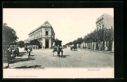 AK Montevideo, Calle Agraciada Arroyo Seco