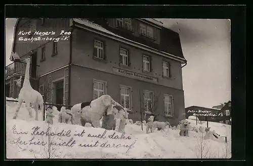 Foto-AK Sachsenberg i. V., Haus des Malers Kurt Heger mit Schneetieren, Haus Foto Richter