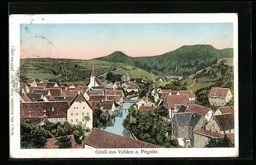 AK Velden a. Pegnitz, Totalansicht des Ortes