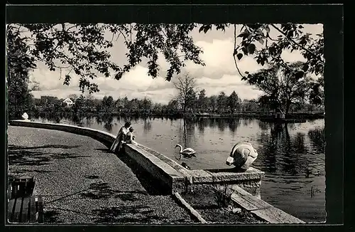 AK Bünde i. Westf., am Schwanenteich im Bürgerpark