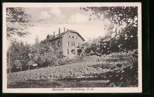 AK Callenberg /O.-L., Heilstätte von einem Feld gesehen