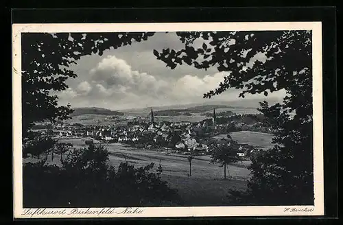 AK Birkenfeld /Nahe, Ortsansicht aus der Vogelschau