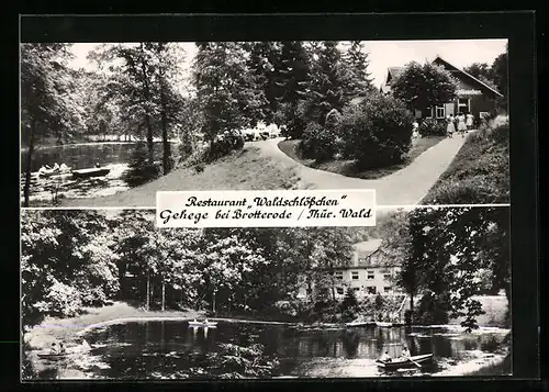 AK Brotterode /Thür. Wald, Restaurant Waldschlösschen im Gehege