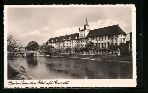 AK Breslau, Oderpartie mit Universität