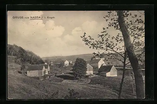 AK Nassau / Erzgeb., Ortsansicht aus der Vogelschau