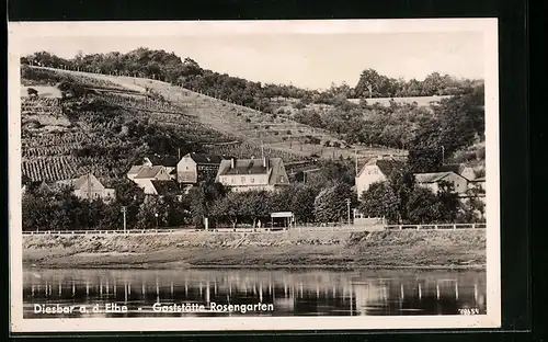 AK Diesbar a. d. Elbe, Ufer vor der Gaststätte Rosengarten