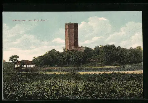 AK Kruschwitz, Blick zum Mäuseturm