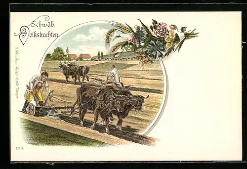 Lithographie Ochsenpflug auf dem Feld, Schwäb. Volkstrachten