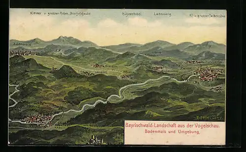 Künstler-AK Eugen Felle: Bodenmais, Ortsansicht mit dem Bayerischen Wald aus der Vogelschau
