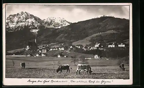 AK Anger bei Bad Reichenhall, Ortspartie mit Kirche und weidenden Kühen