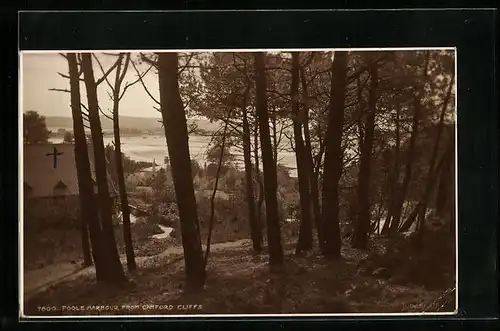 AK Poole, Harbour from Camford Cliffs