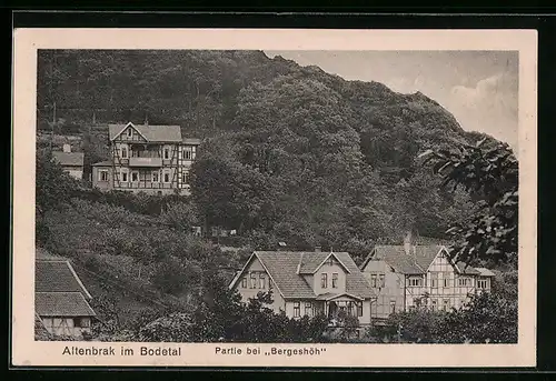 AK Altenbrak im Bodetal (Harz), Partie bei Bergeshöh