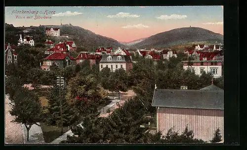 AK Blankenburg am Harz, Villen mit Silberborn