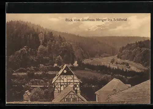 AK Paulinzella, Blick vom Gasthaus Menger ins Schäfertal