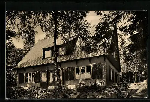 AK Bad Elster-Bärenloh, Waldcafe Zum alten Schloss