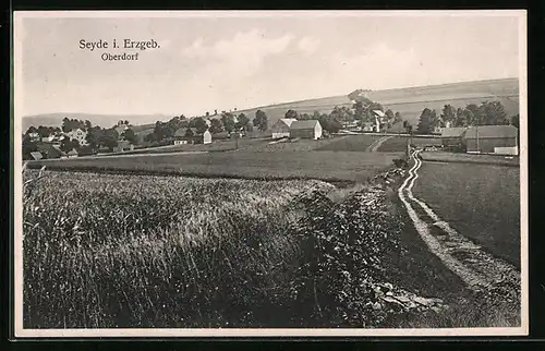 AK Seyde i. Erzgeb., Oberdorf aus der Vogelschau