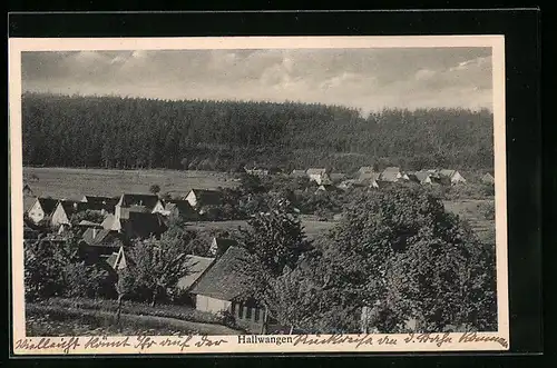 AK Hallwangen, Ortsansicht aus der Vogelschau