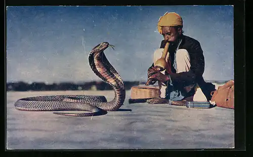 AK India, Snake Charmer