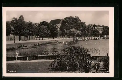 AK Prenzlau, Uckerpromenade, Park