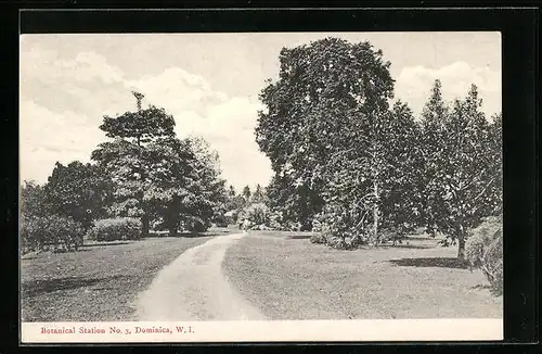 AK Dominica, Botanical Station