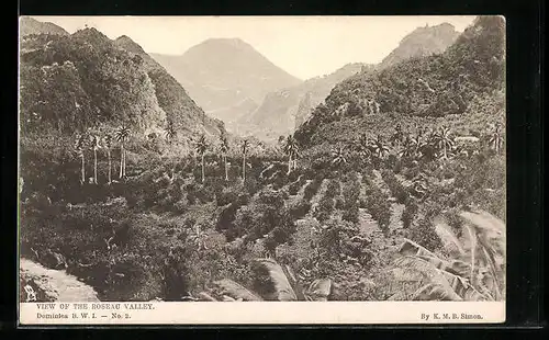 AK Dominica, View of the Roseau Valley