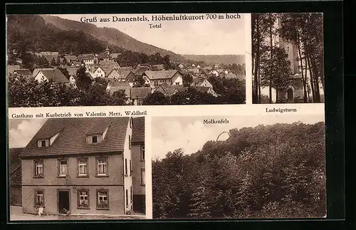 AK Dannenfels, Gasthaus mit Kurbetrieb von Valentin Merz, Waldheil, Molkenfels und Ludwigsturm