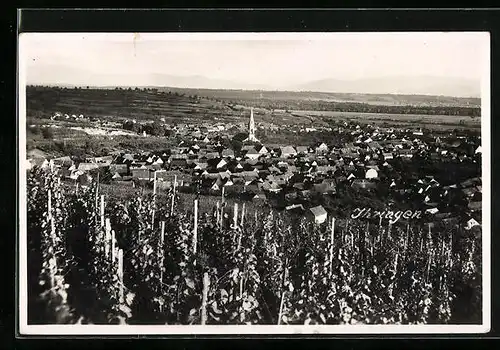 AK Ihringen, Ortsansicht aus der Vogelschau