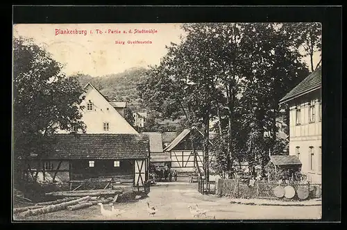 AK Blankenburg i. Th., Partie an der Stadtmühle, Burg Greifenstein