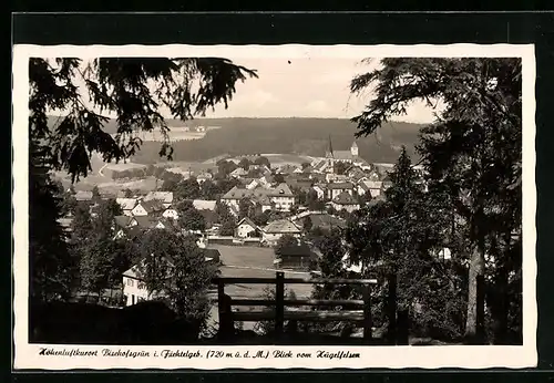 AK Bischofsgrün i. Fichtelgeb., Blick vom Hügelfelsen