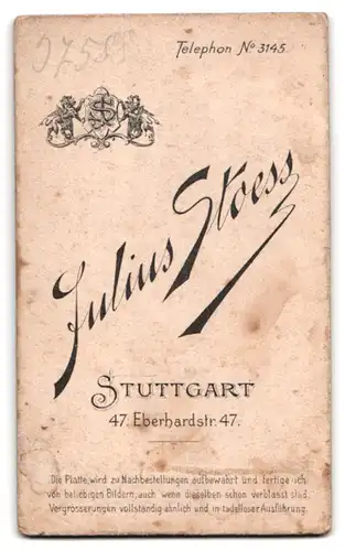 Fotografie Julius Stoess, Stuttgart, Chevauleger in Uniform mit Ärmelabzeichen