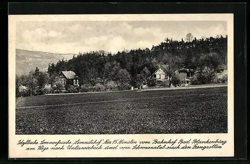 AK Bad Blankenburg, Blick auf Sommerfrische Lemnitzhof