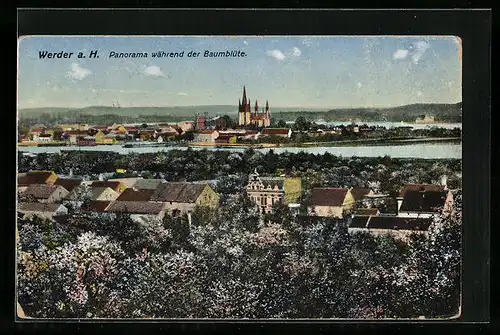 AK Werder a. H., Panorama während der Baumblüte