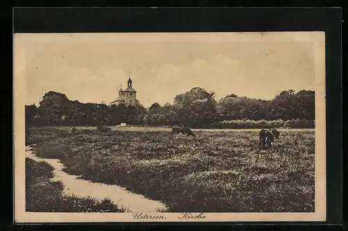 AK Uetersen, Weide mit Kirche