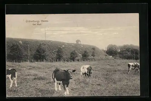 AK Oldenburg /Holst., Der Wall mit weidenden Kühen