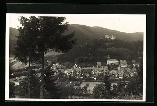 Foto-AK Leutenberg /Thür., Teilansicht mit Bäumen