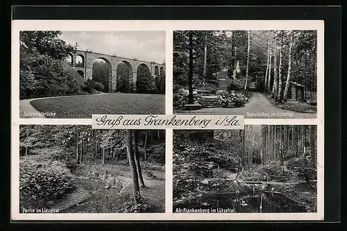 AK Frankenberg i. Sa., Partie im Lützeltal, Naturbühne, Lützeltalbrücke