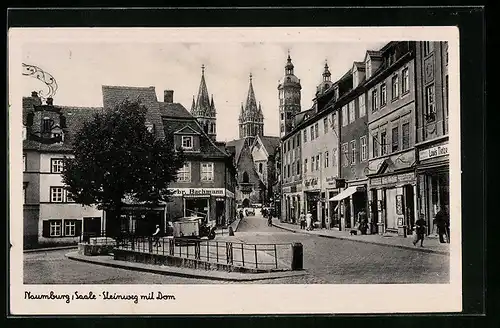 AK Naumburg /Saale, Steinweg mit Dom