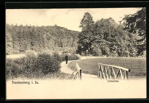 AK Frankenberg / Sa., Weg im Lützeltal