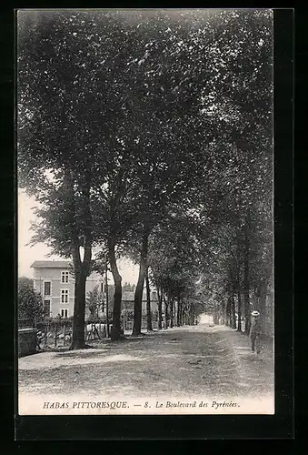 AK Habas, Le Boulevard des Pyrénées