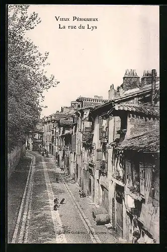 AK Périgueux, La Rue du Lys