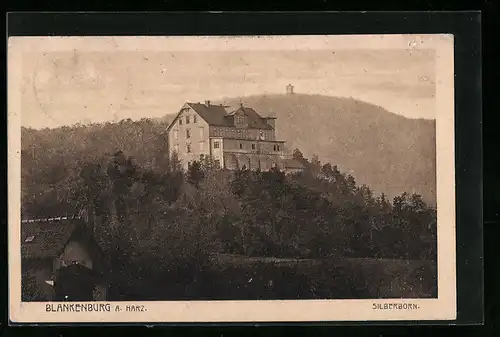 AK Blankenburg a. Harz, Silberborn