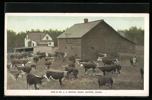 AK Deleau, Farm of Mr J. E. Marples