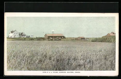 AK Aikenside, Farm of J. L. Miller