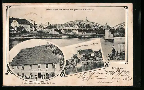 AK Trebsen /Mulde, Ortsansicht mit Muldebrücke, Gasthof zum Schwan E. Brühl