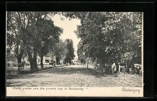 AK Buitengorg, Paleis gezien van den grooten weg