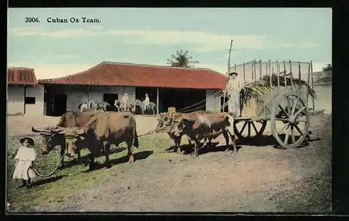 AK Cuba, Cuban Ox Team