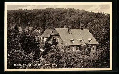 AK Dippmannsdorf /Kr. Belzig, Oberförsterei mit Nachbarhäusern aus der Vogelschau